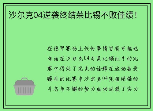 沙尔克04逆袭终结莱比锡不败佳绩！